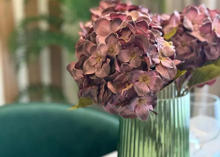 Riviera Sea Avtorsky Appartement Fontanka